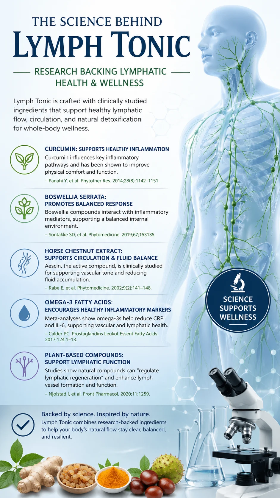 Science Behind Lymph Tonic